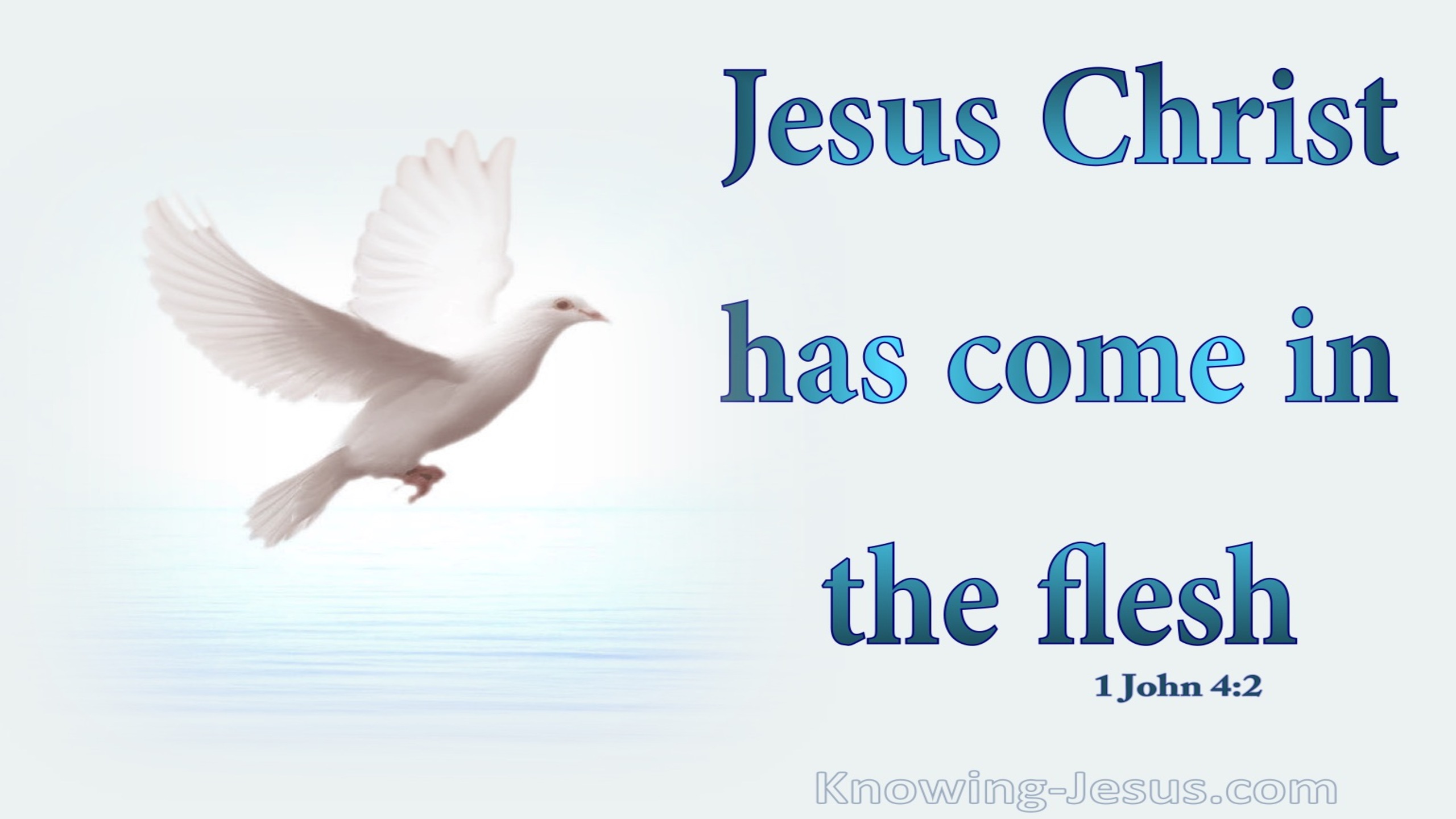 1 John 4:2 Jesus Christ Has Come In The Flesh (aqua)